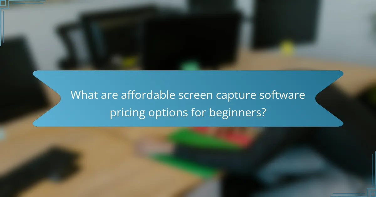 What are affordable screen capture software pricing options for beginners?