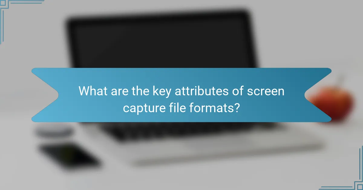 What are the key attributes of screen capture file formats?