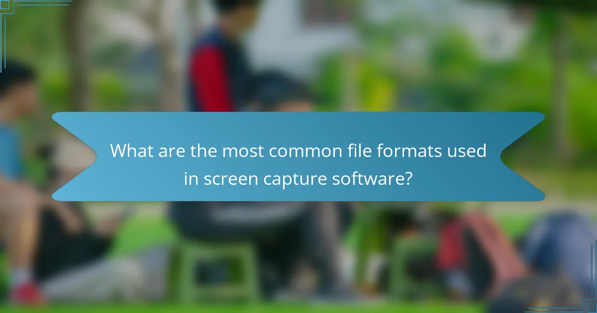 What are the most common file formats used in screen capture software?