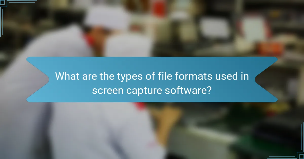 What are the types of file formats used in screen capture software?