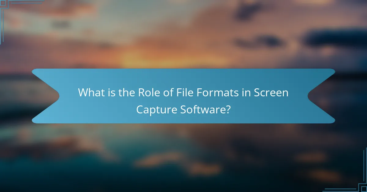 What is the Role of File Formats in Screen Capture Software?
